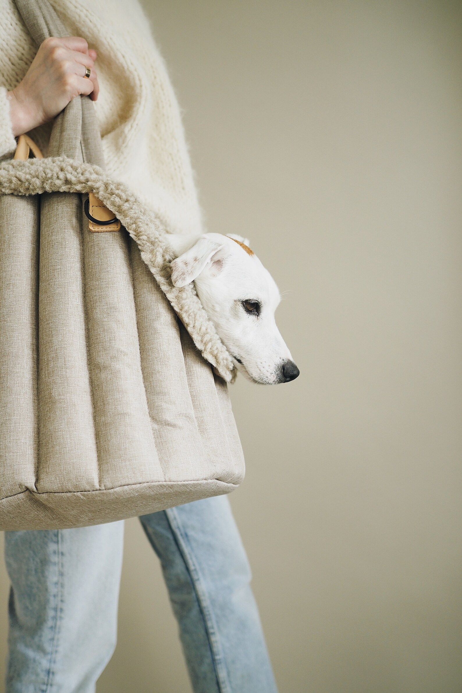 Fur Case For Pet Carrier Etsy