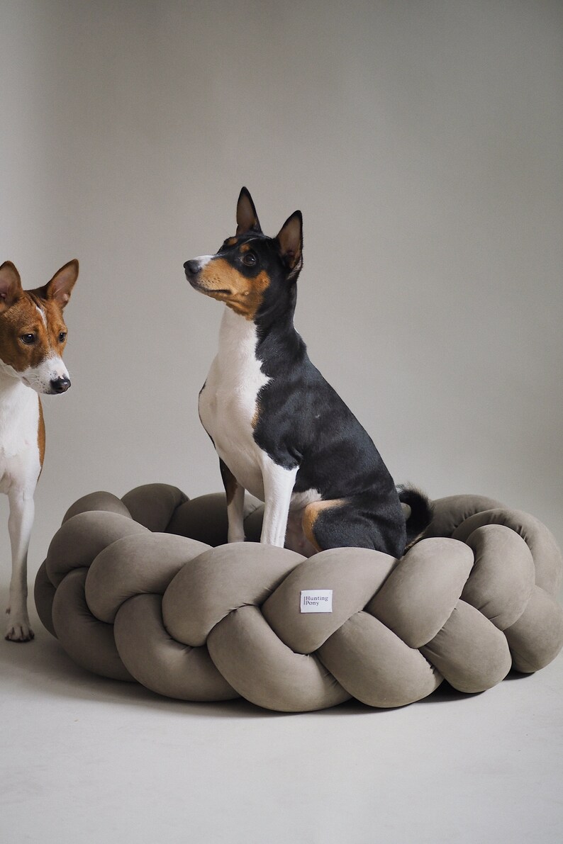 Hunting Pony Kolosony Dog Bed Khaki Pet Beds Modern Dog Bed Etsy