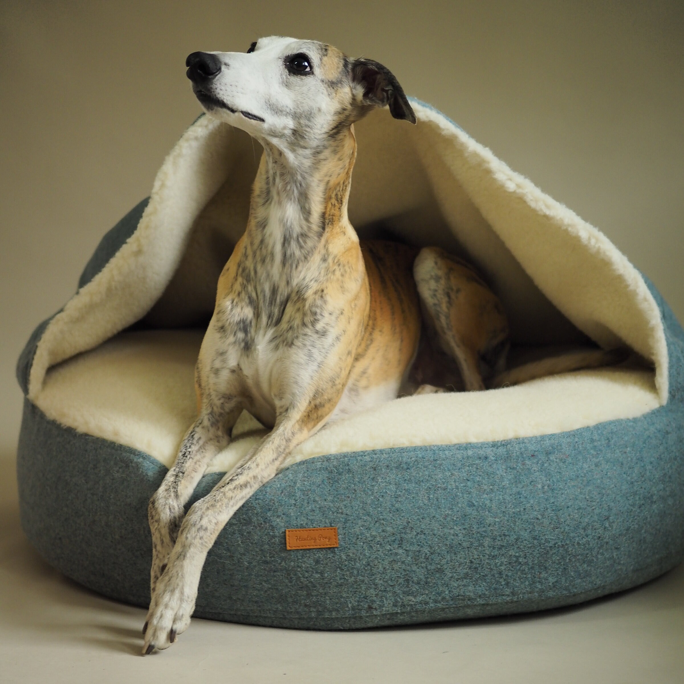 dog bed with blanket