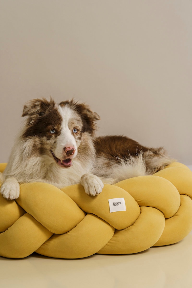 Hunting Pony Kolosony Dog Bed Yellow Pet Beds Modern Dog Bed Etsy