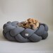 Hunting Pony Kolosony Dog bed Dark grey Pet beds - Modern dog bed - Dog beds Small Medium Dog - Dog bed Large Dogs - Modern dog bed