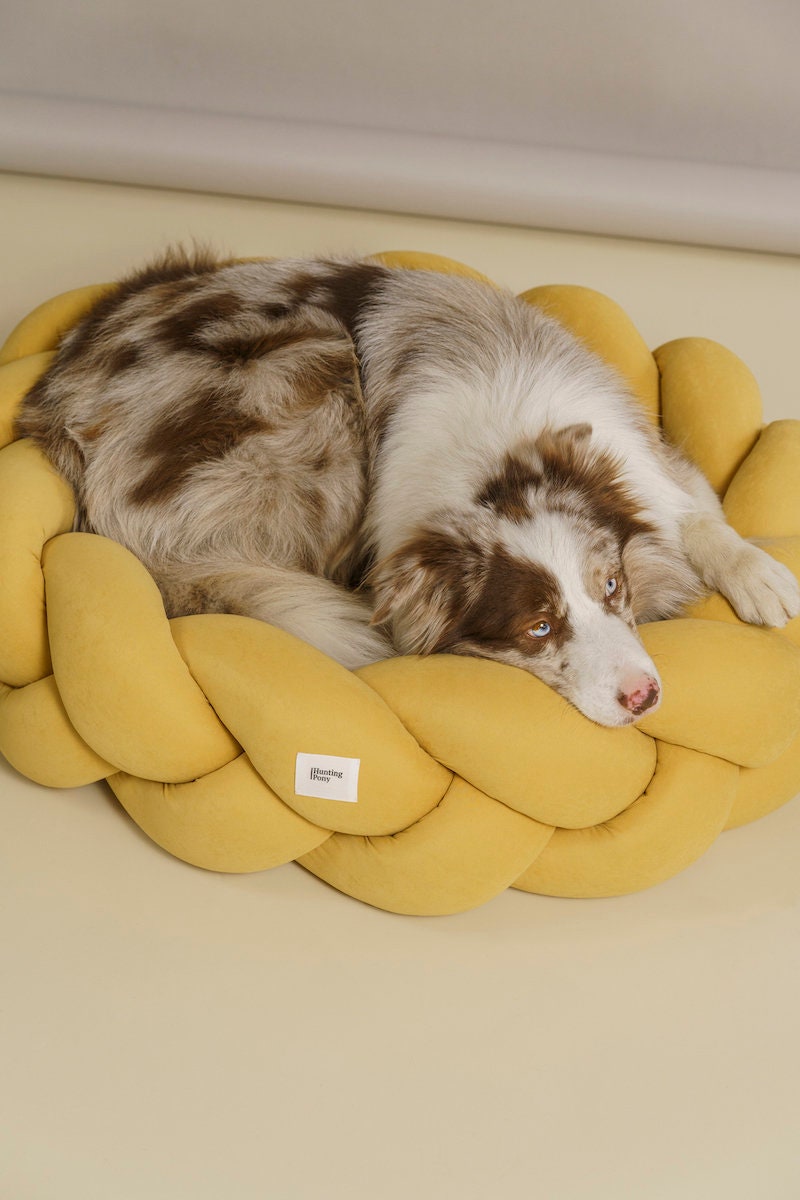 25480円 魅力の Yellow Plantation Small Round Indoor Outdoor Pet Dog Bed With Removable Was