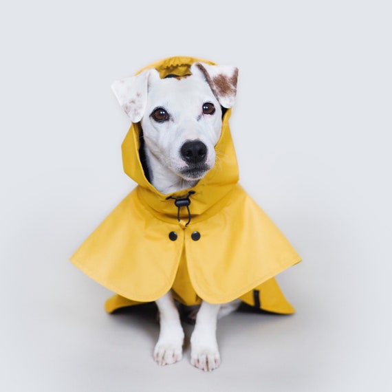 dog rain hood