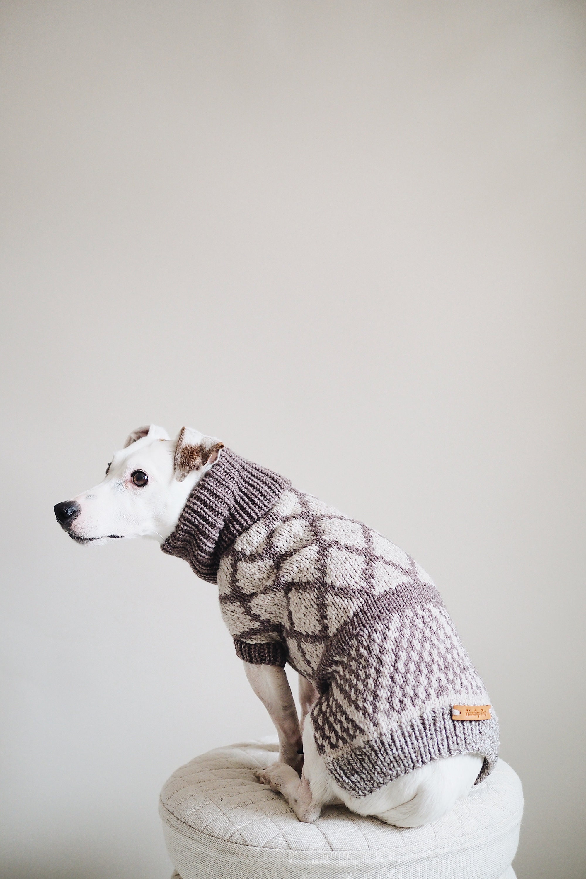dog woolen clothes