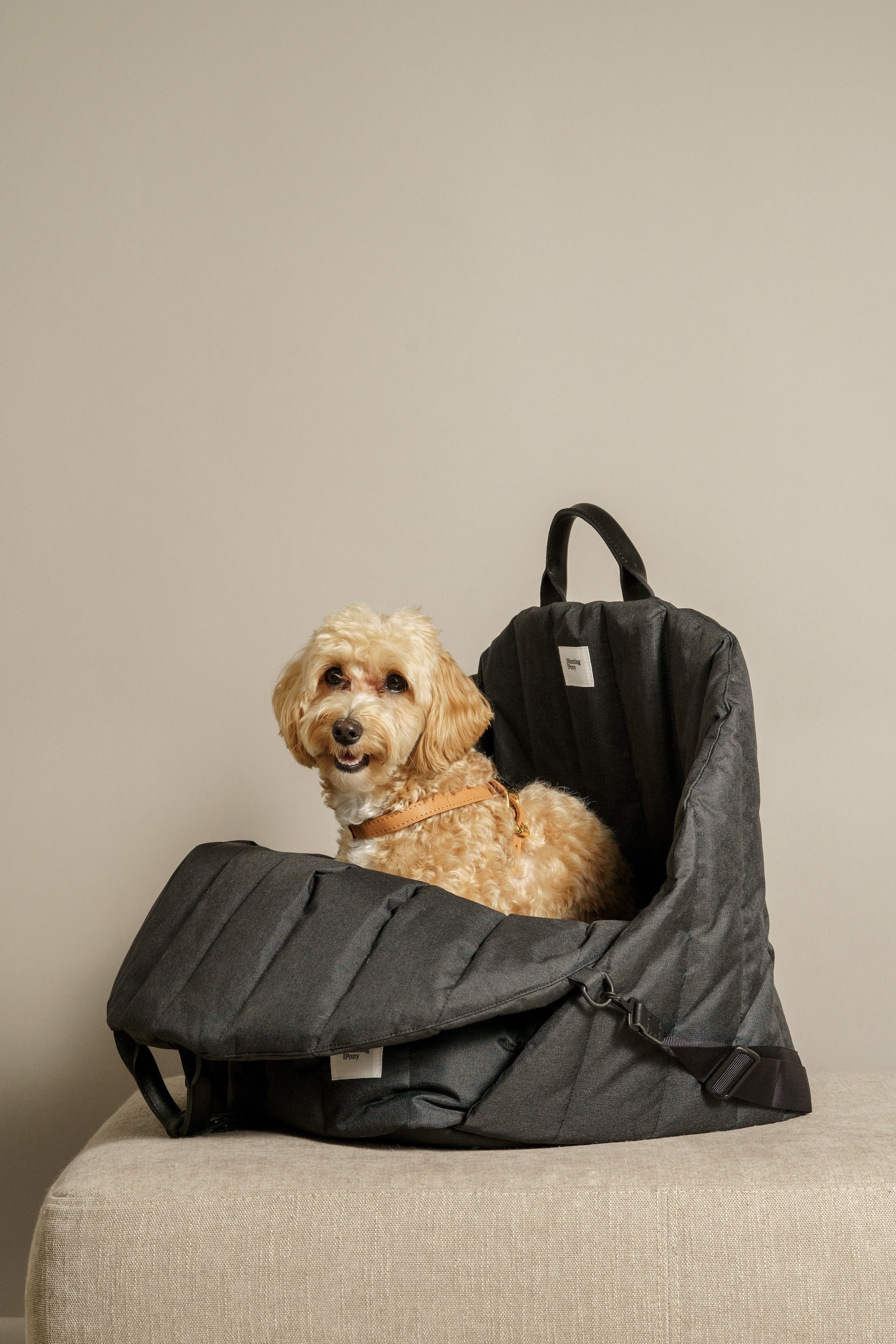 Autositzbezug für kleine bis mittlere Hunde als Hundekorb oder Schondecke  für Vordersitz und Rückbank, abwaschbar, wasserdicht und extrem langlebig. Schonbezug  Hund als Hundedecke, Autositz, Sitzbezug : : Haustier