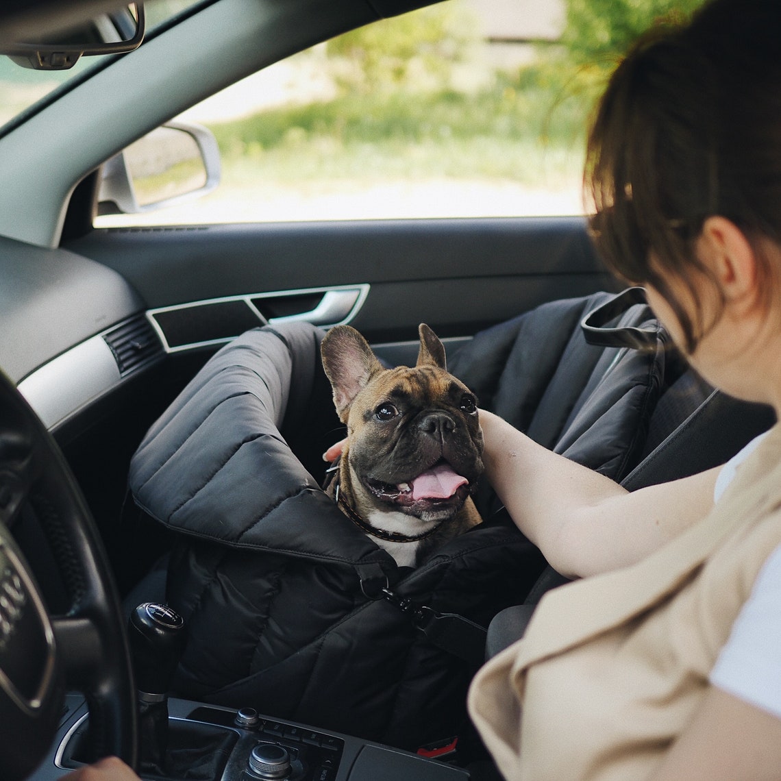 Dog Car Seat Pet Seat Car Seat for Dogs Travel Seat for Etsy UK