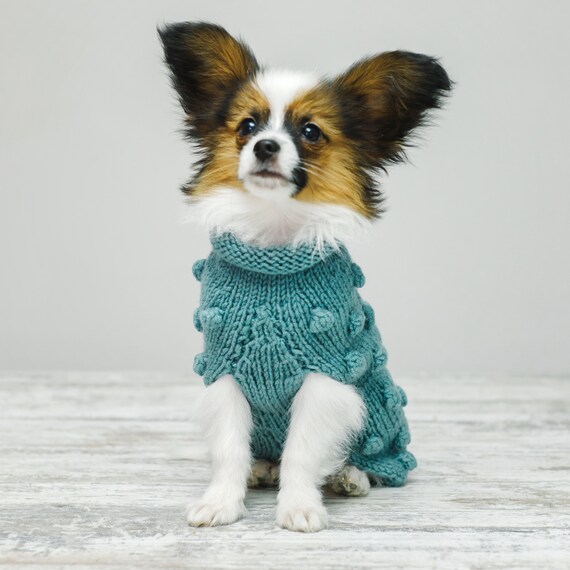 blue dog sweater