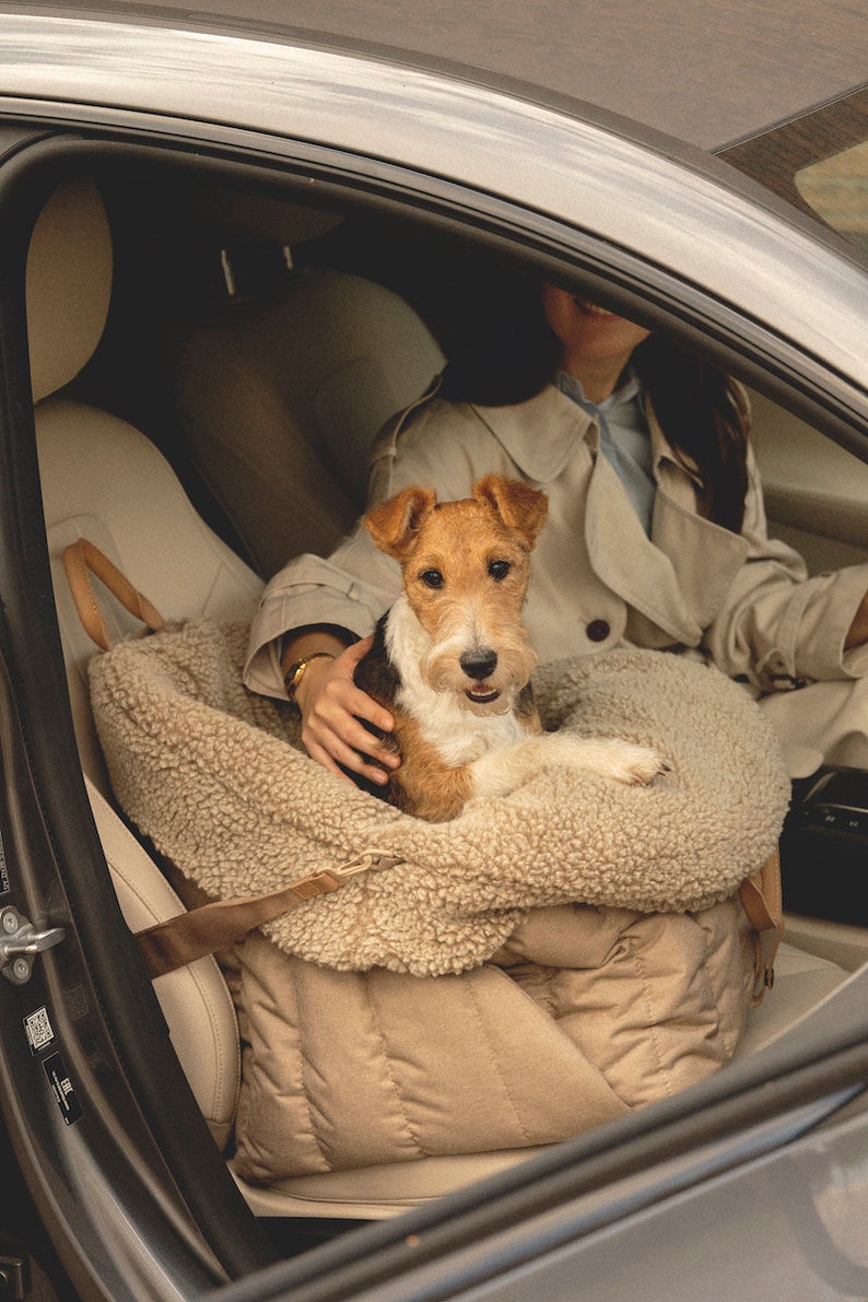 JagdPony Hundeautositz schwarz / Hundeautositz beige / Hundetransporter / Haustiertransporter / Autositz für Hunde beige / Haustierbedarf Bild 5