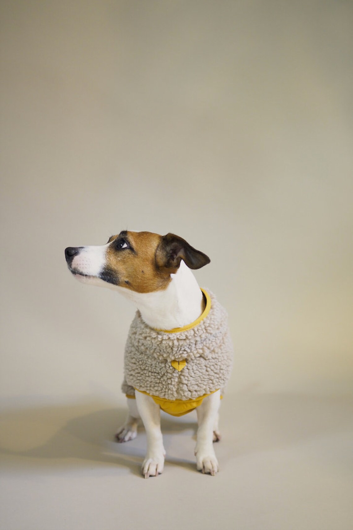 Dog Vest Yellow Dog Coat Clothes for dogs Woolen coat Etsy