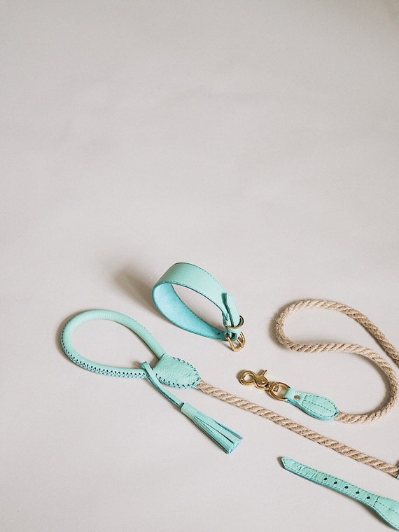 tiffany dog leash