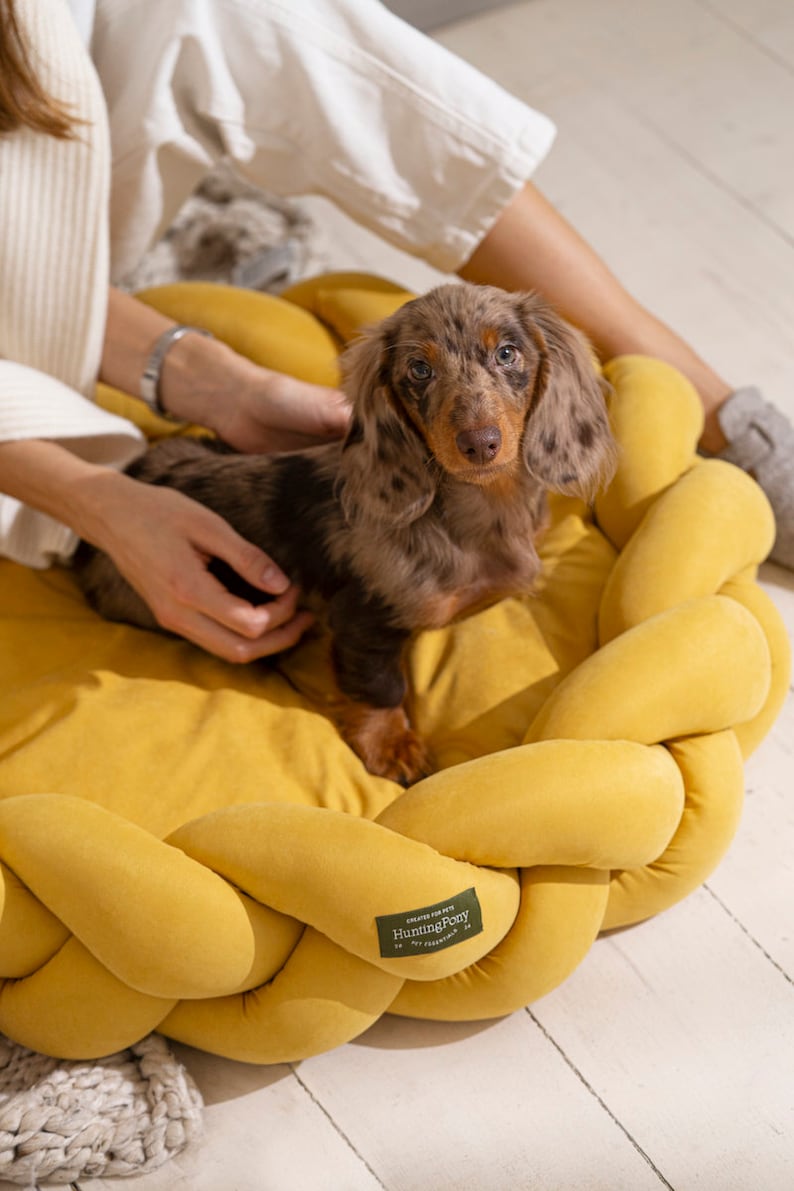 HuntingPony Kolosony Dog bed Yellow Pet beds Modern dog bed Dog beds Small Medium Dog Dog bed Large Dogs image 2