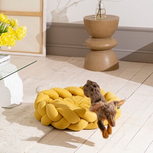 HuntingPony Kolosony Dog bed Yellow Pet beds Modern dog bed Dog beds Small Medium Dog Dog bed Large Dogs image 3