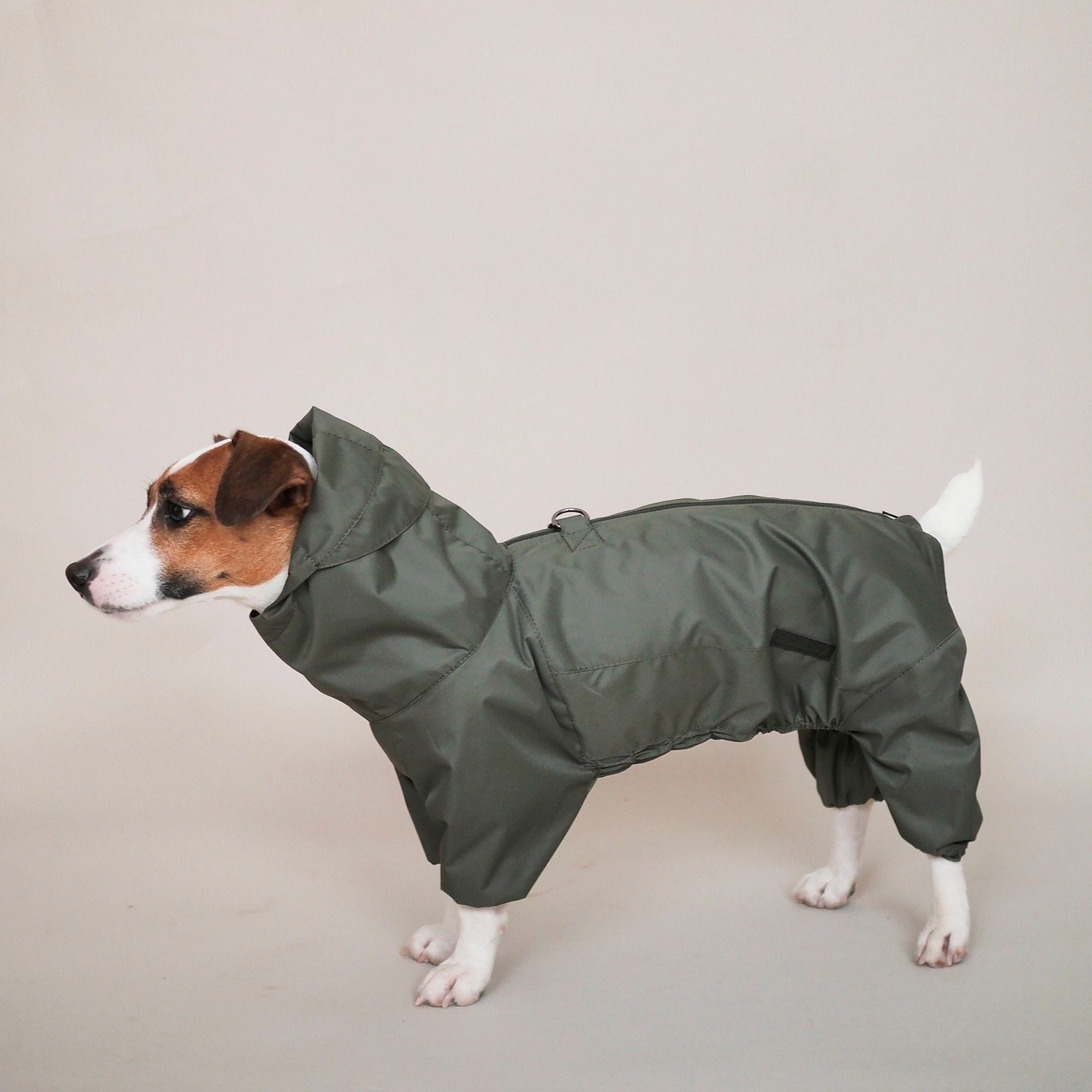 dog fall clothes