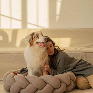 HuntingPony | Kolosony Dog bed Beige Pet beds - Modern dog bed - Dog beds Small Medium Dog - Dog bed Large Dogs