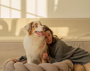 HuntingPony | Kolosony Dog bed Beige Pet beds - Modern dog bed - Dog beds Small Medium Dog - Dog bed Large Dogs