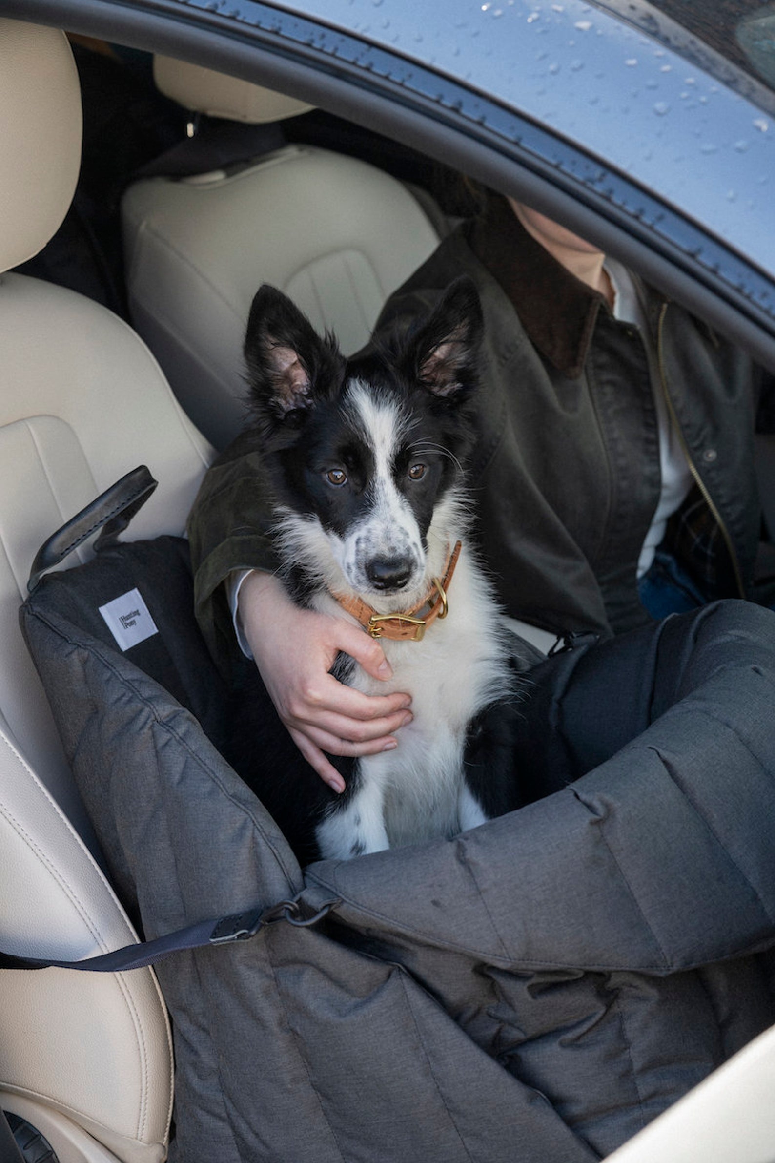 Hunting Pony Dog Car Seat Pet Car Seat Car Seat for Dogs Etsy UK