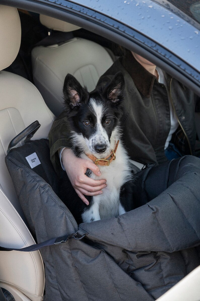 Hunting Pony Dog Car Seat Pet Car Seat Car Seat for Dogs Etsy UK