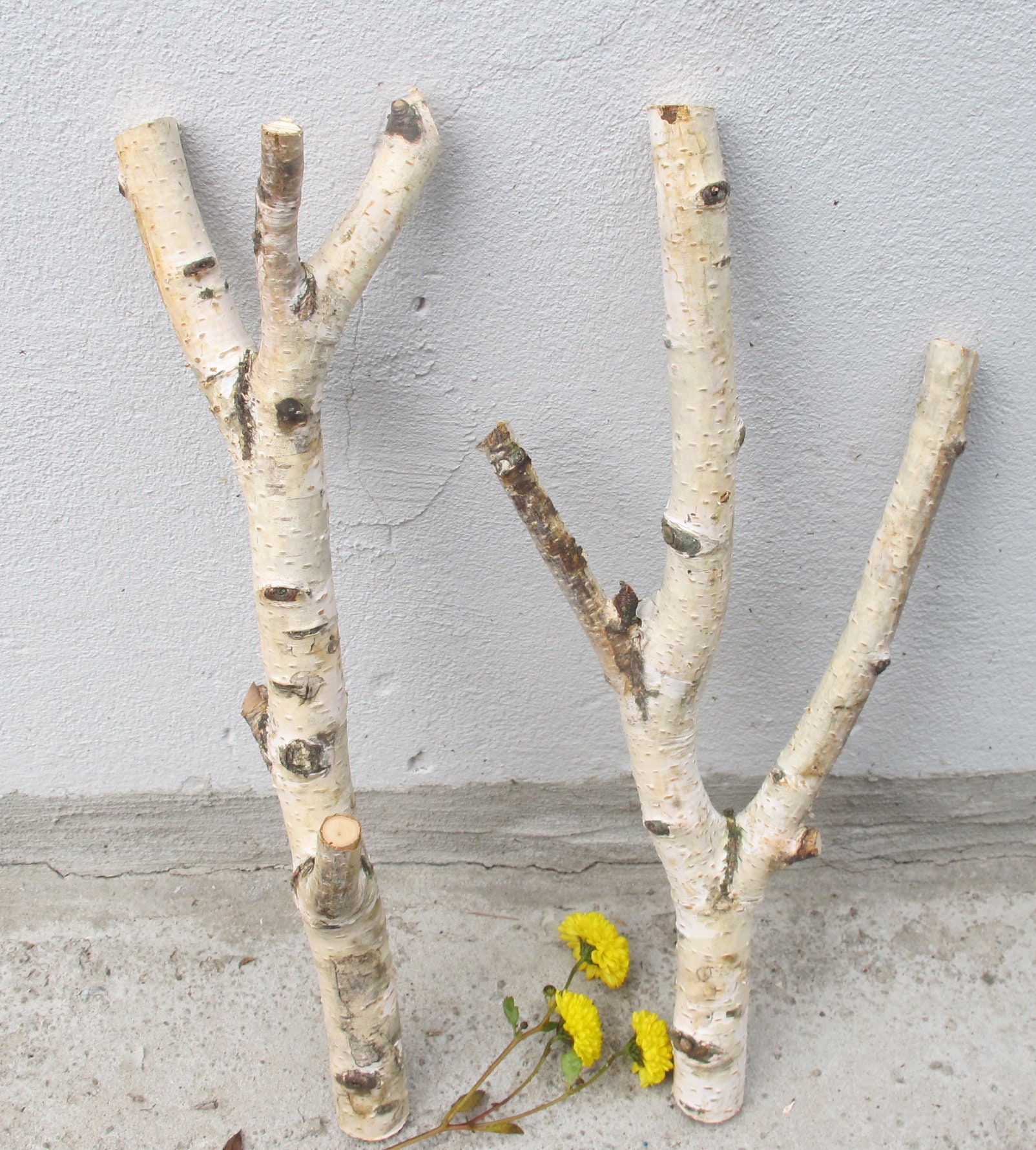 Set of 2 Birch Branches 14.5 White Natural Birch Logs Etsy