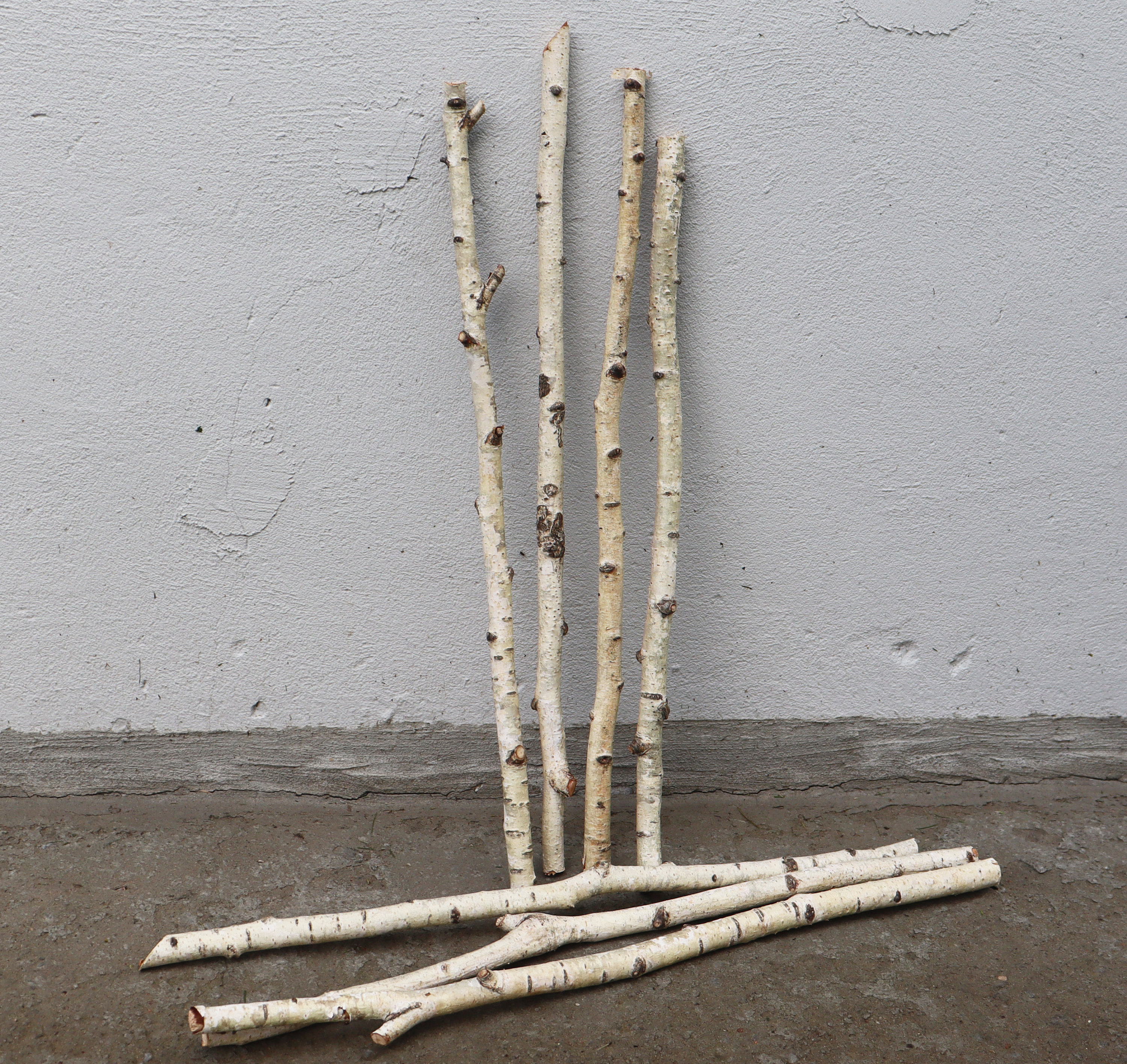 Set of 4 Birch Branches 20 White Natural Birch Tree Etsy
