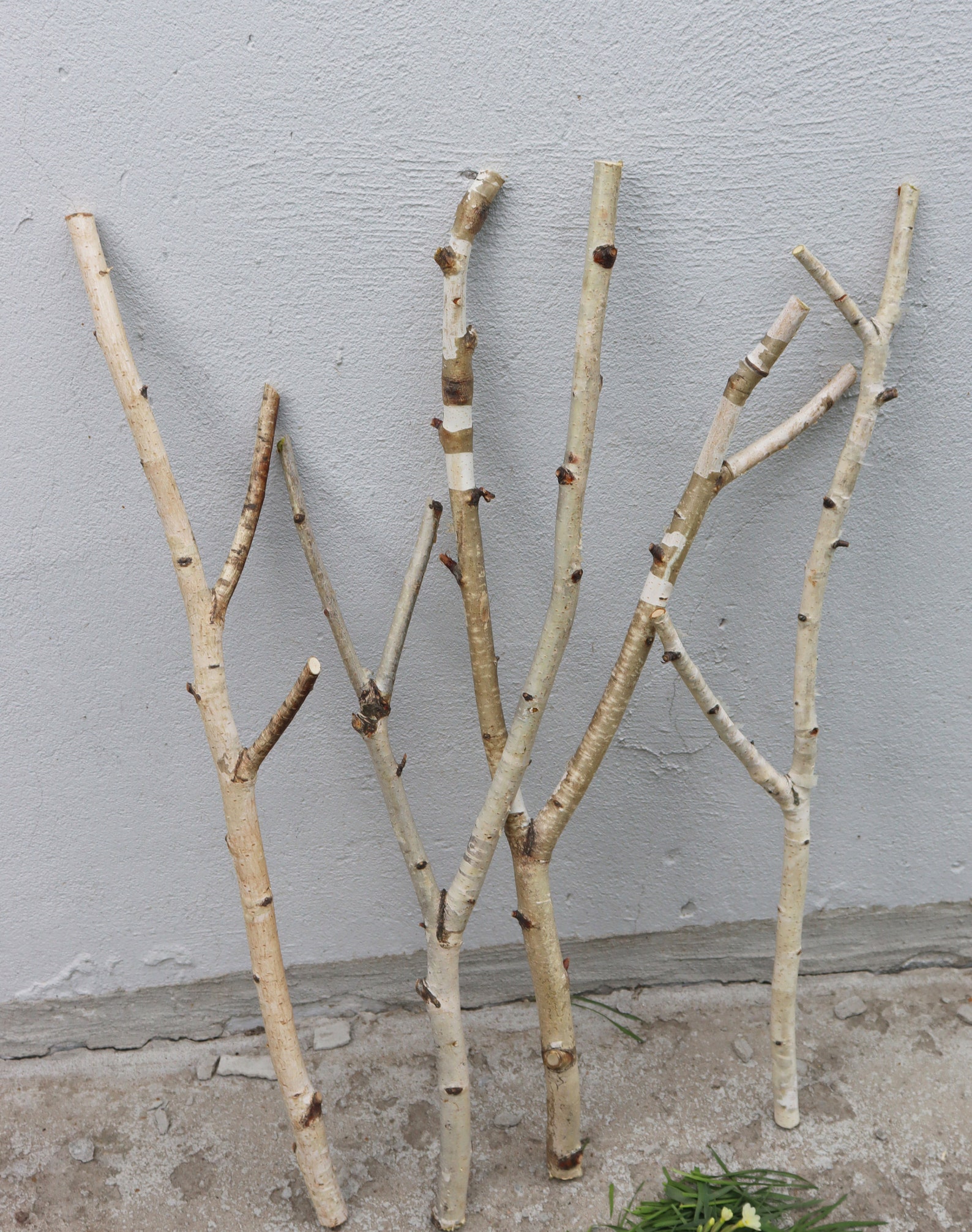 Set of 4 Birch Branches 22 White Decorative Birch Etsy