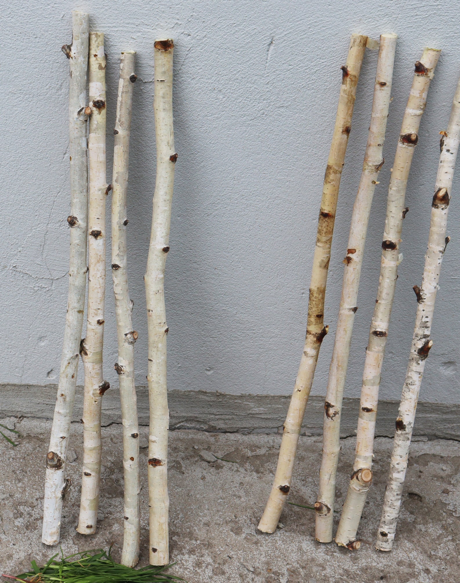 Set of 4 Birch Branches 20 White Natural Birch Tree Etsy