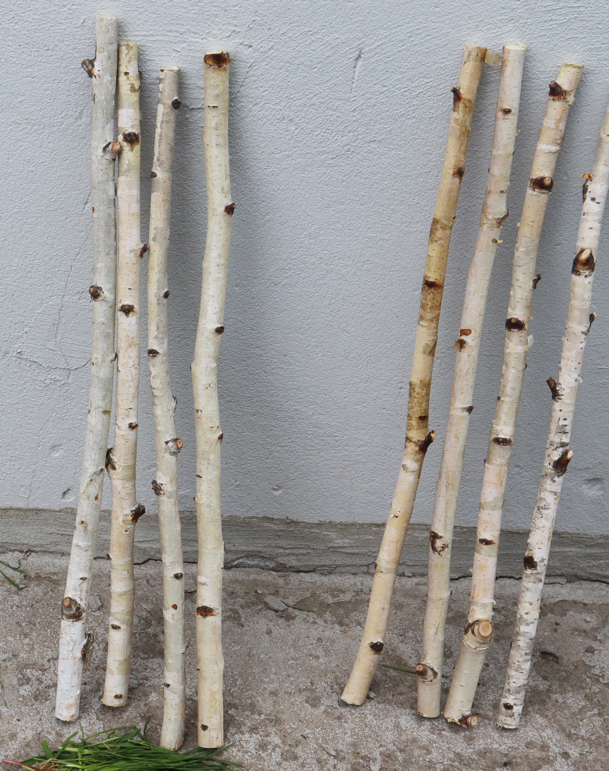 Set of 4 Birch Branches 20 White Natural Birch Tree Etsy