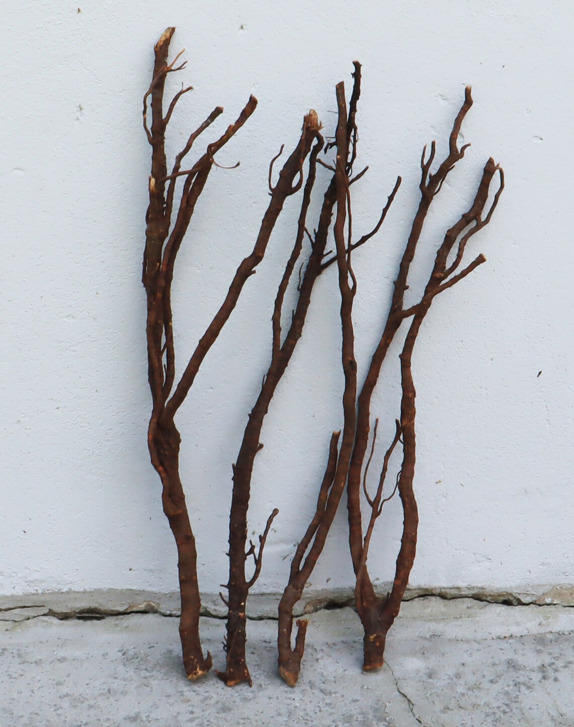 Dried Wood Roots Natural Wooden Branches Wood Craft Forest Etsy