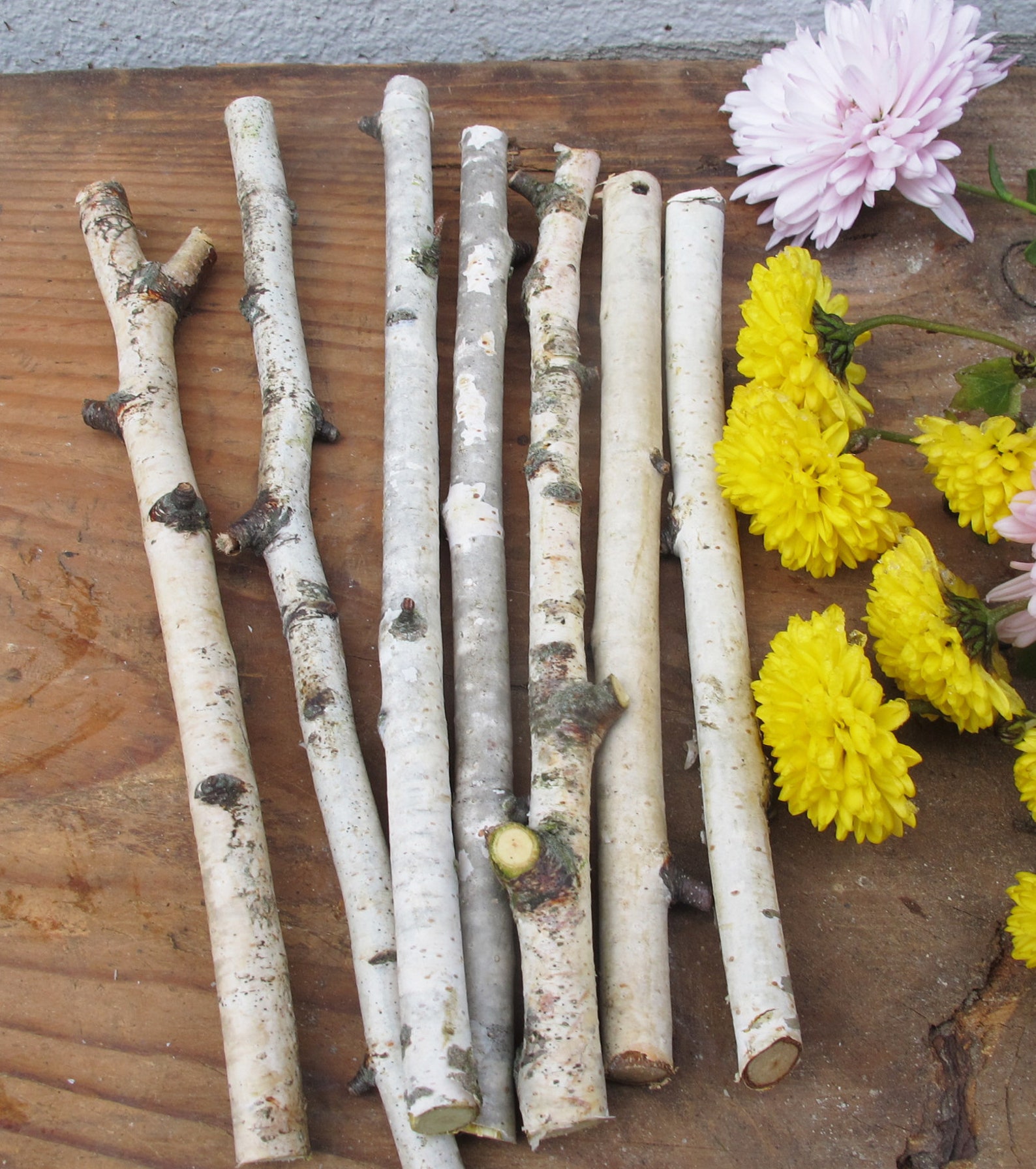 Set of 7 Small Birch Sticks 6 White Birch Branches Etsy