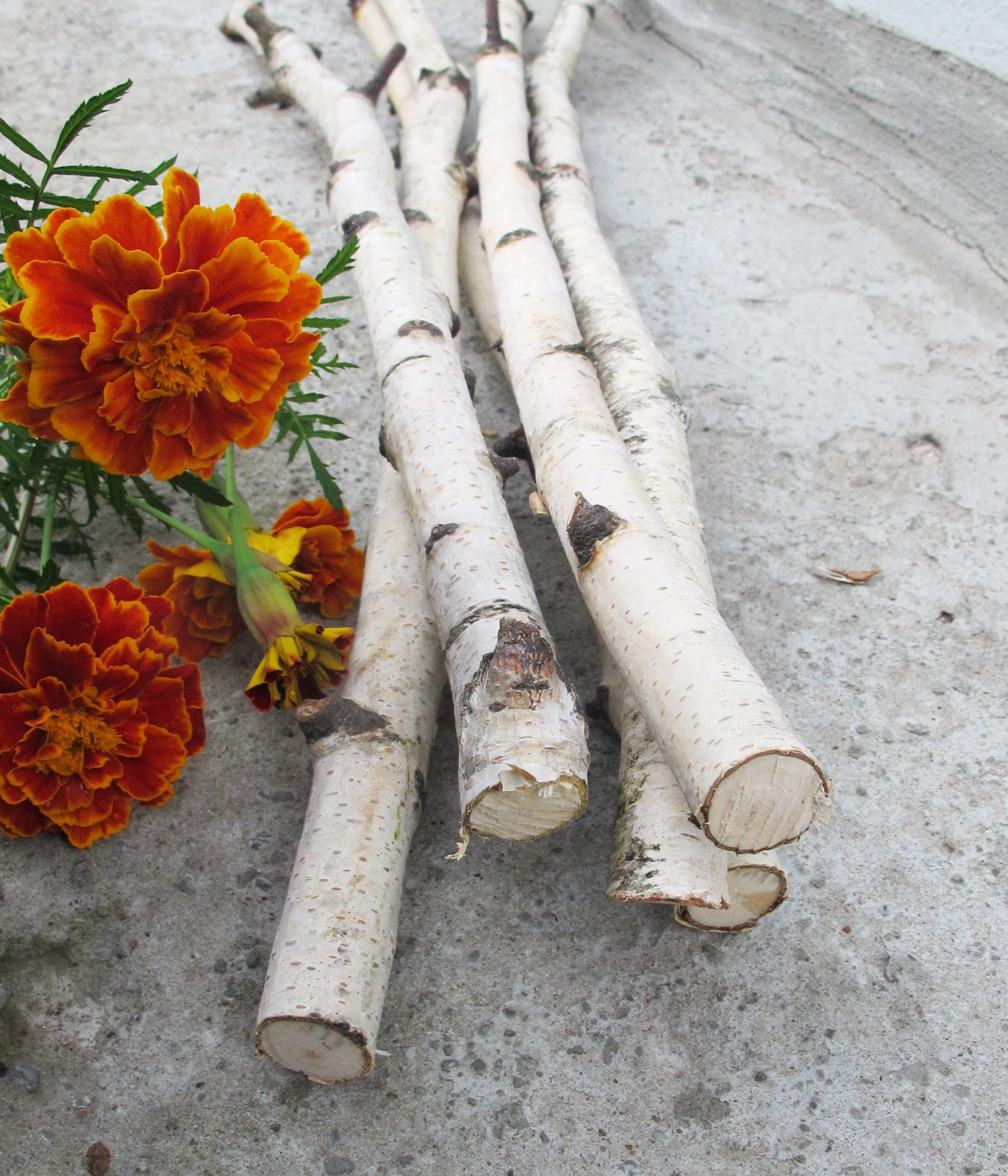 Set of 4 Birch Branches 20 White Natural Birch Tree Etsy