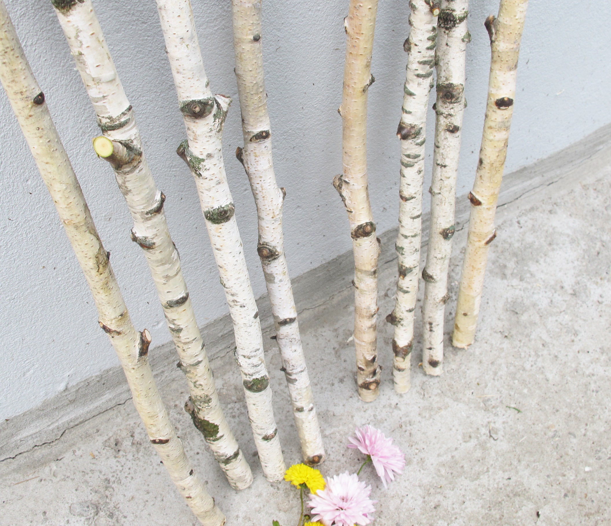 Set of 4 Birch Branches 20 White Natural Birch Tree Etsy