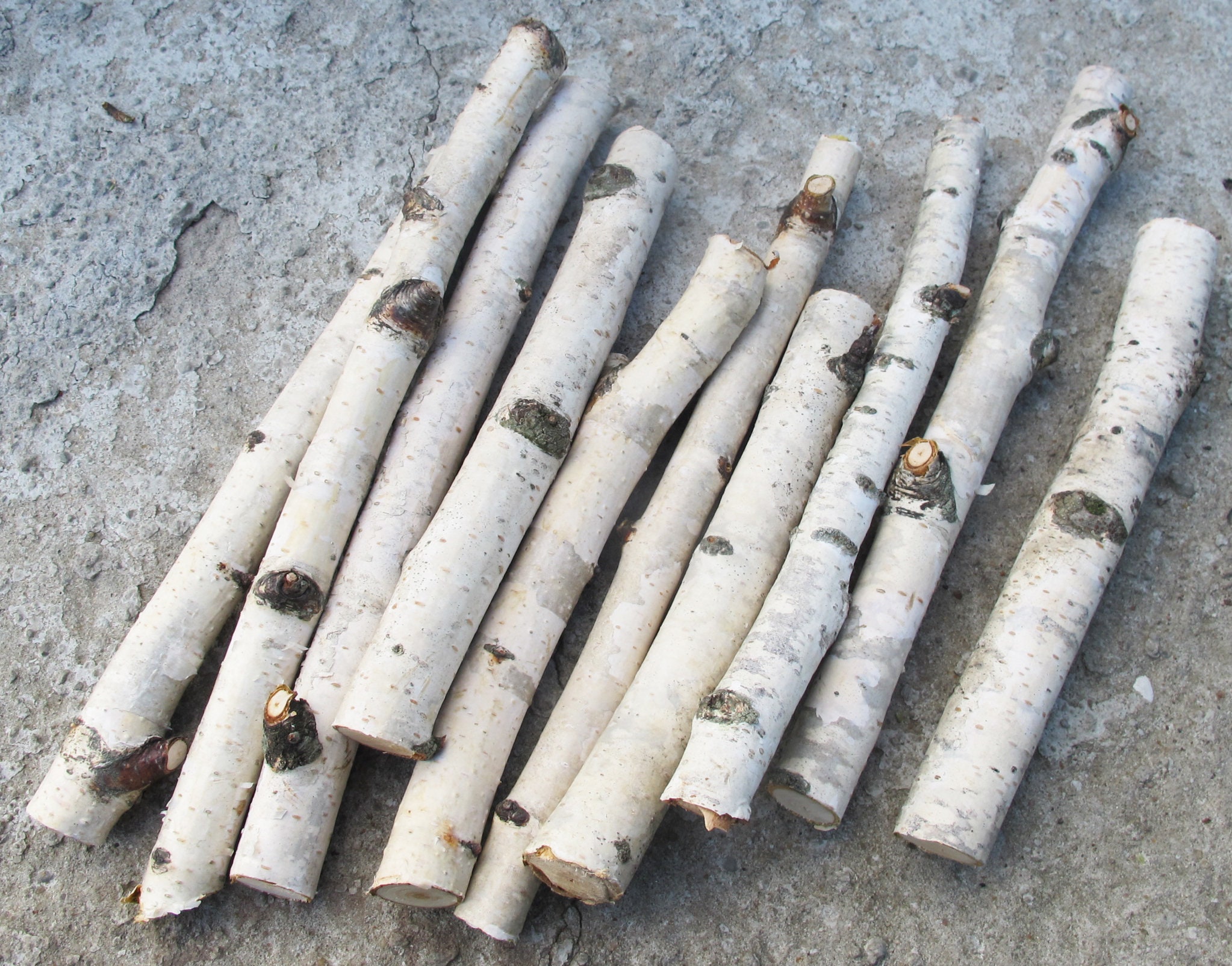 5 Natural Birch Branches White Birch Sticks 6.5 Forest Etsy
