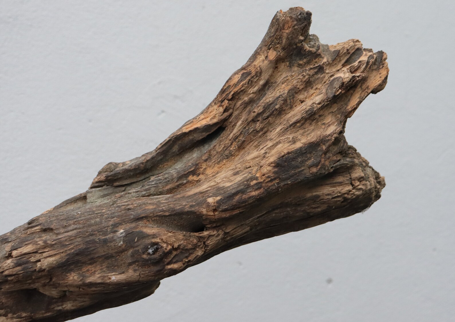 Large Driftwood Branch Unique Driftwood Piece Craft Natural Etsy