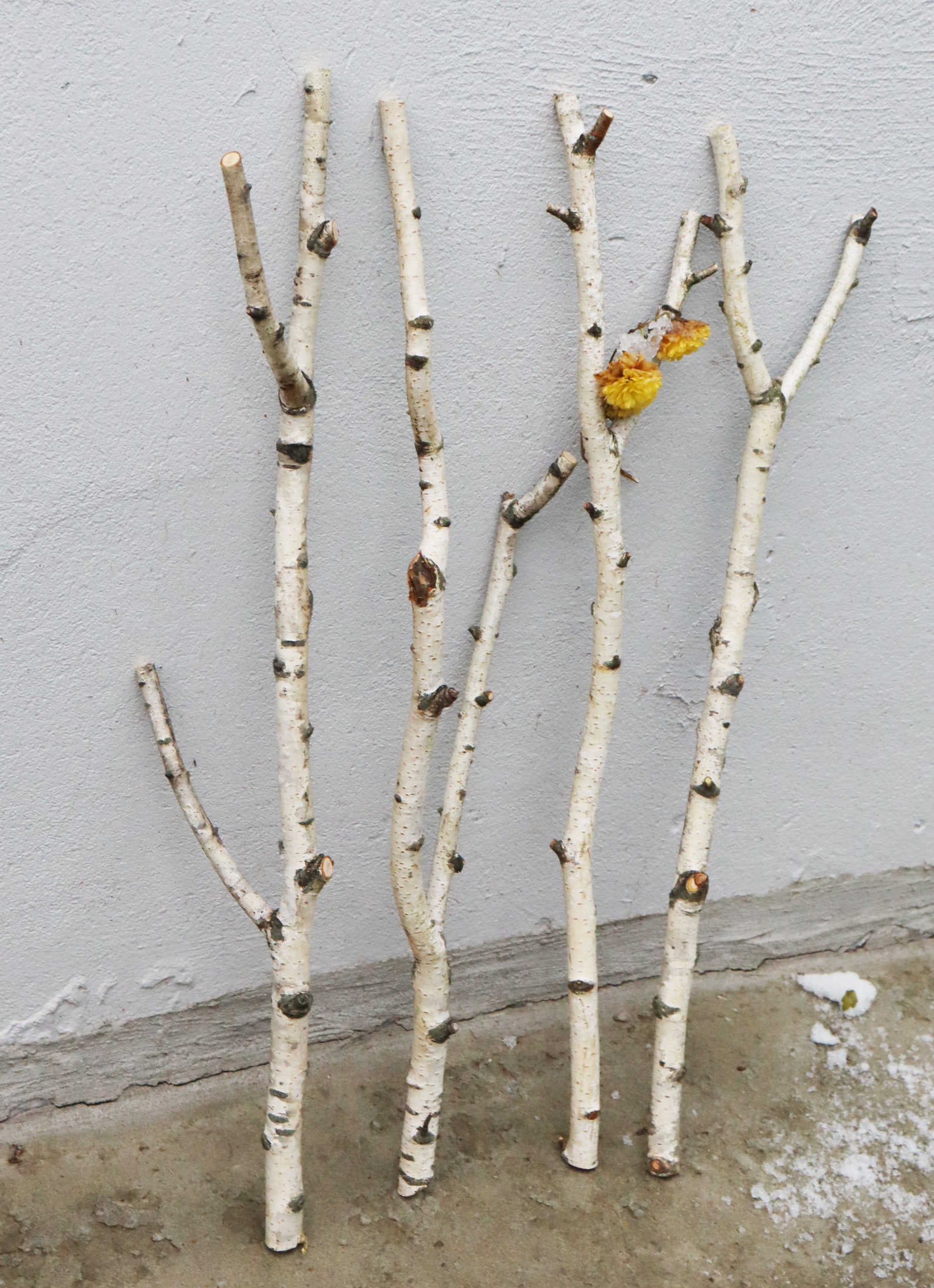 Set of 4 Birch Branches 22 White Natural Birch Logs Etsy