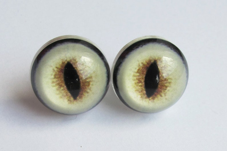 Pair Wild Cat Eyes Realistic Eyes 1115 mm Taxidermy Craft Etsy