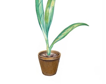 Original Houseplant Illustration, Unique Gift Idea for Daughter, Still Life of a Green Potted Plant, Cozy Artwork, Green Art, A4 Size Print,