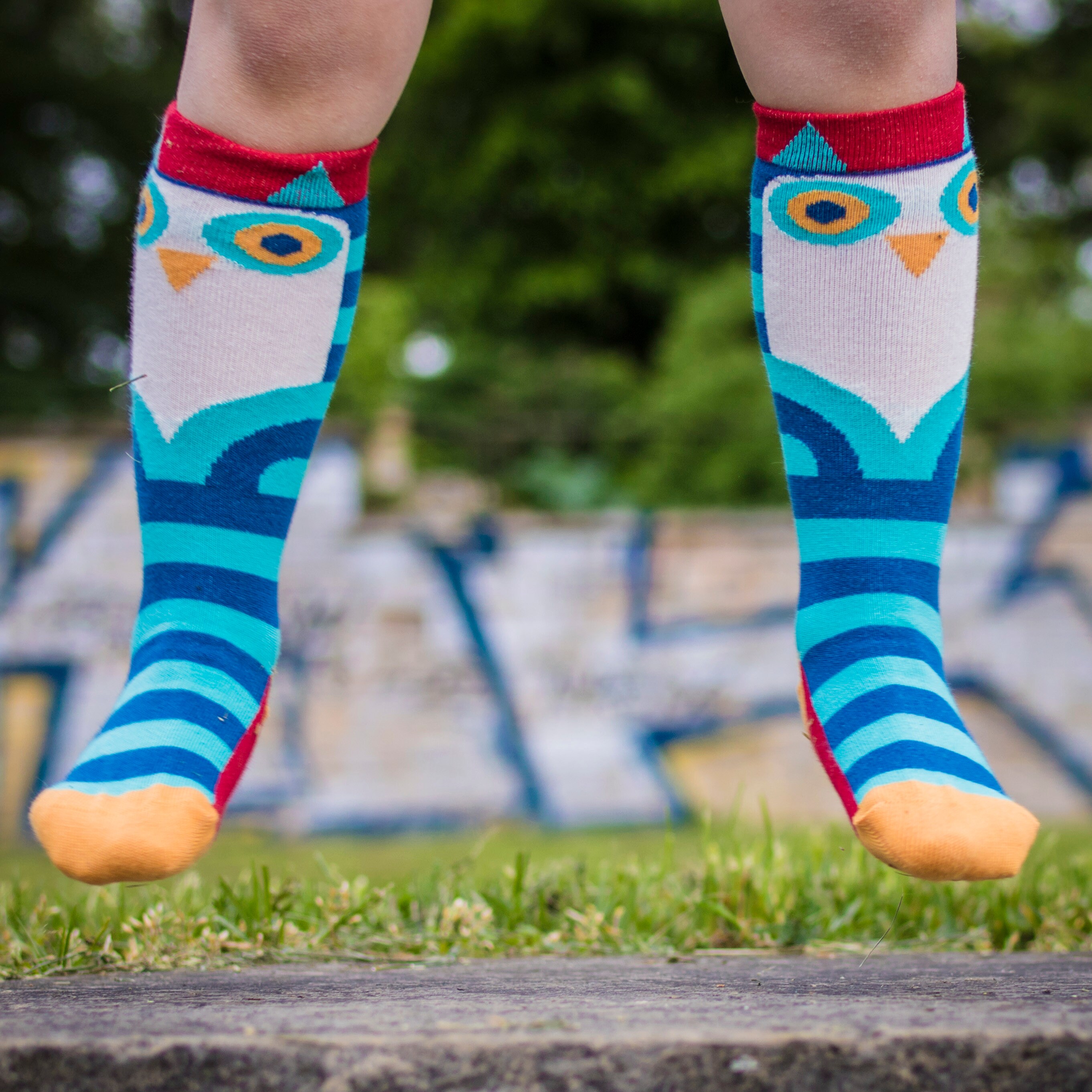 Owl Toddler Knee Socks Double Pack Set Organic Cotton | Etsy