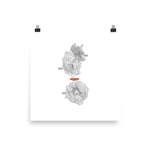 Three Sisters Mountain Peak Print | Mountain Art | Mountain Decor | Mountain Print | Topography Art | Modern Print | Oregon Art