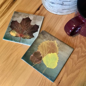 May include: Two square ceramic coasters with a nature theme. One coaster features a single brown leaf with a light brown background. The other coaster features three leaves in shades of brown, yellow, and green on a blue background.