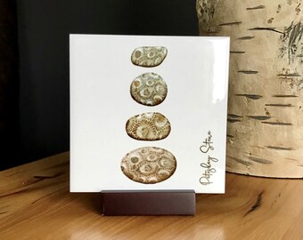 Petoskey Stone Coaster, Michigan Coral Fossil, Ceramic Tile (4x4)
