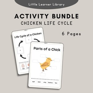 Chicken Life Cycle Activity Bundle
