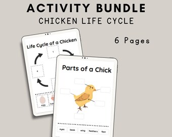 Chicken Life Cycle Activity Bundle