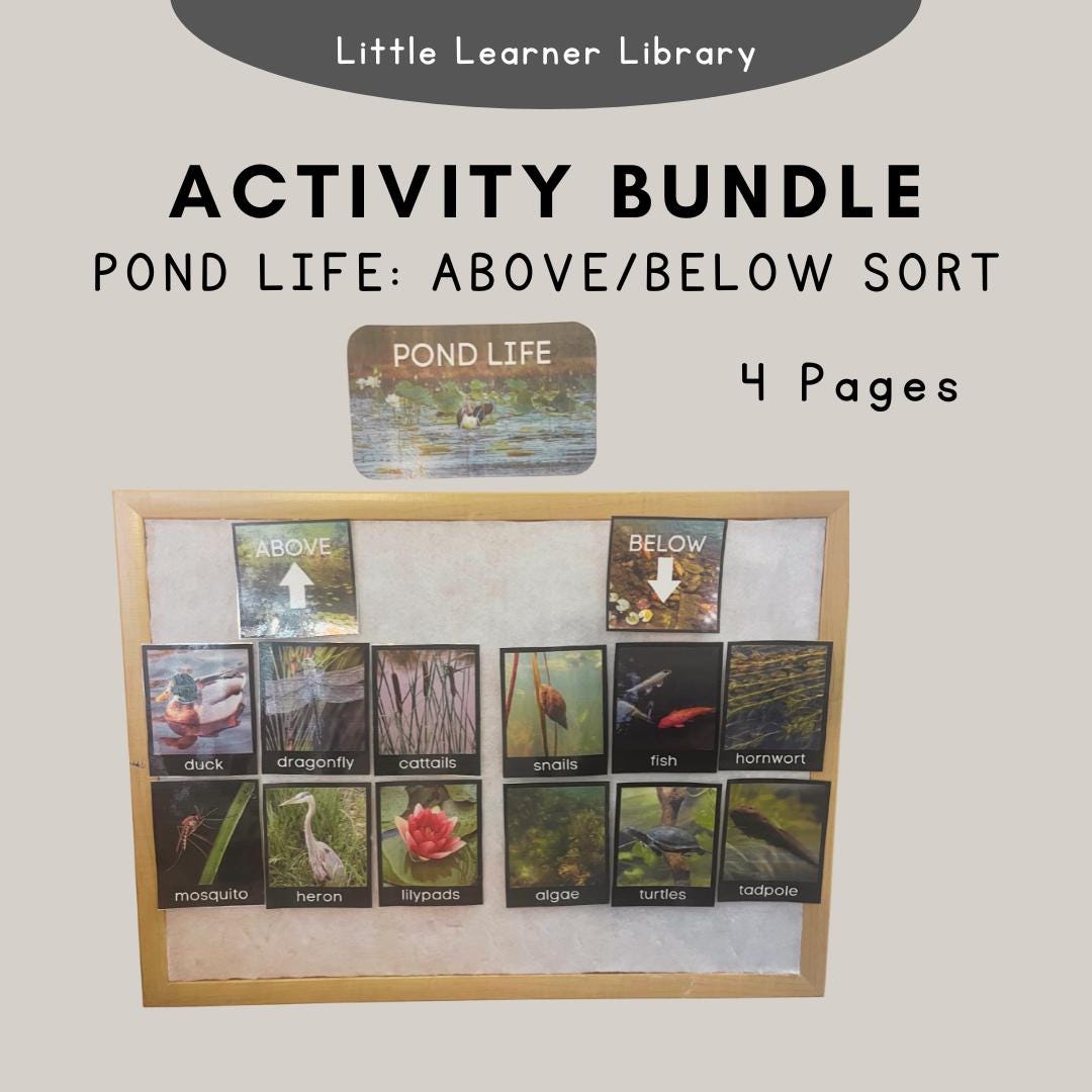 Sorting Activity - Pond Life - Above and Below - Etsy
