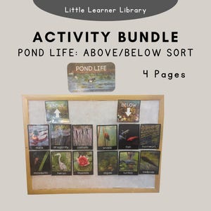 Sorting Activity - Pond Life - Above and Below