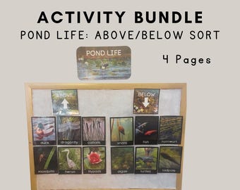 Actividad de clasificación - Vida en el estanque - Arriba y abajo