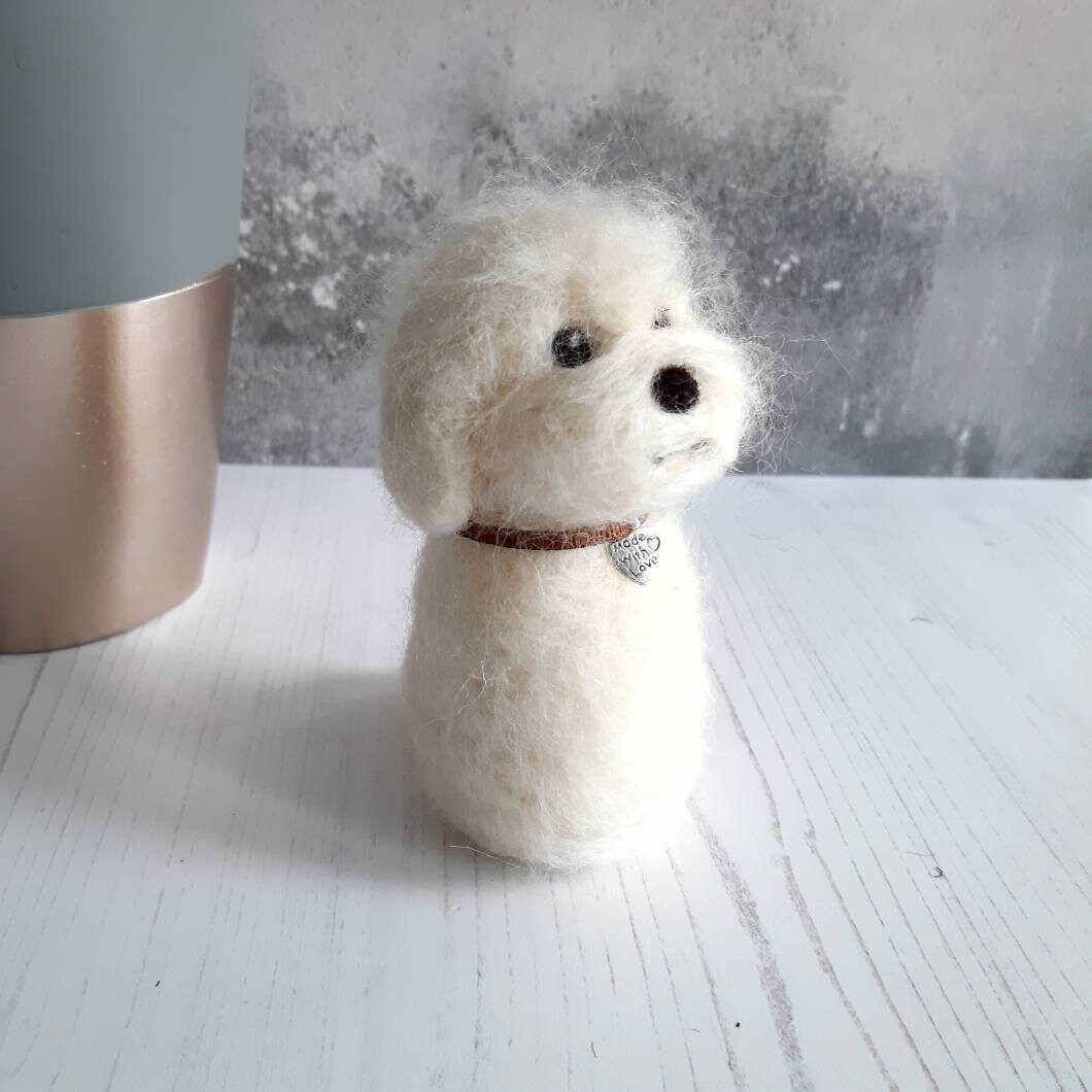 weißer flauschiger hund