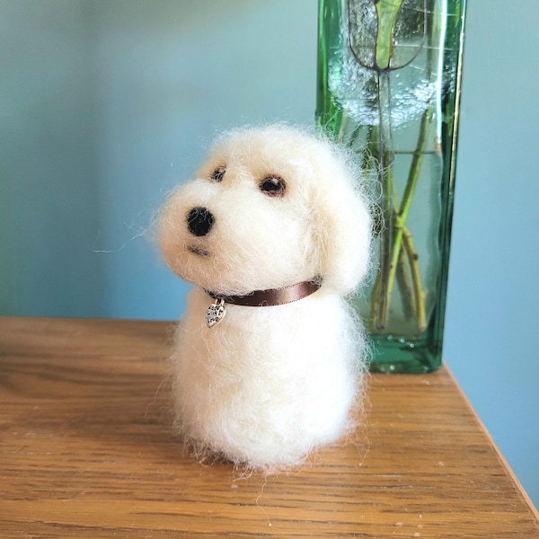 Fluffy white felted Bolognese dog