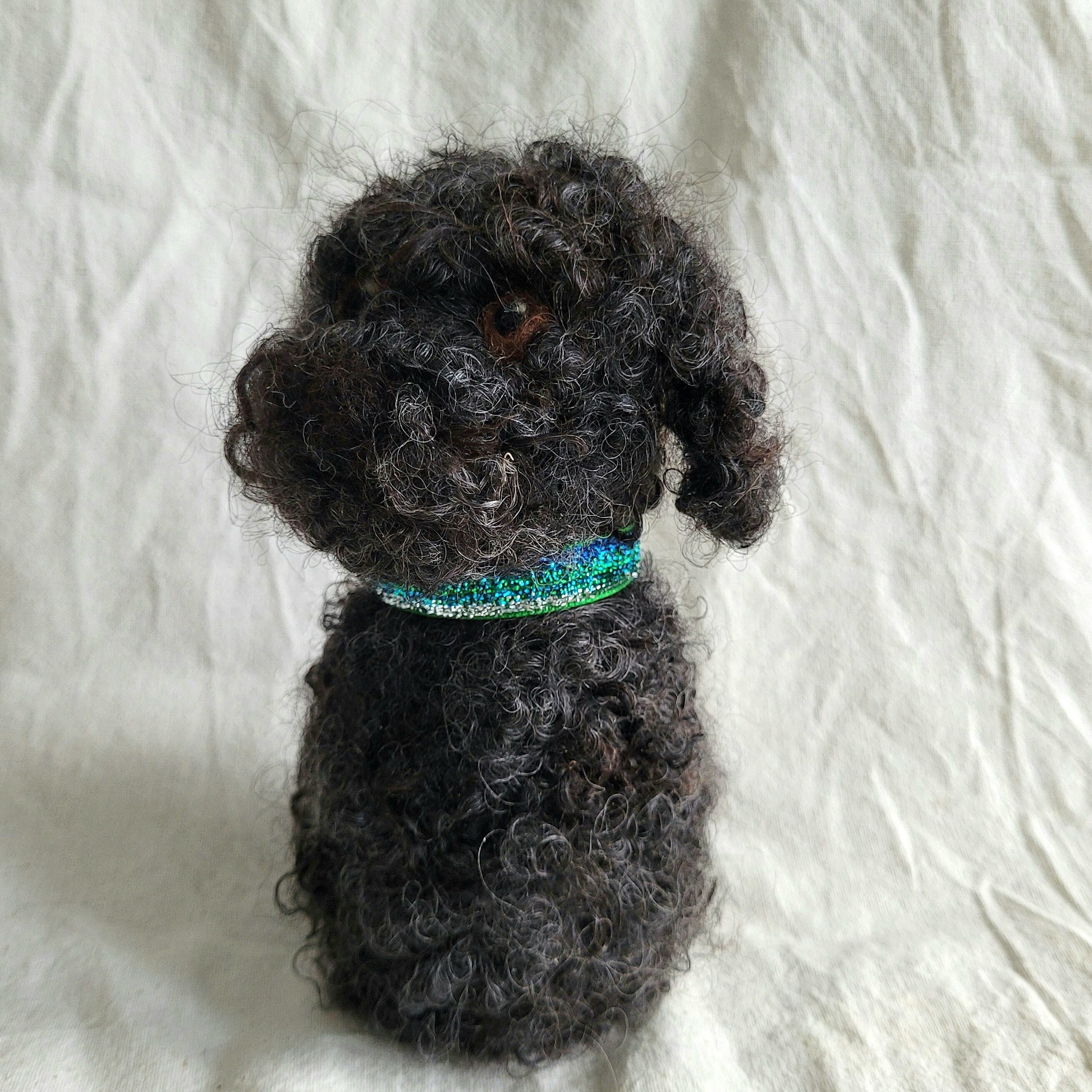 Fuzzy Puppy Toy Poodle