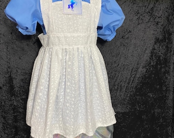 Girl’s Alice in Wonderland  Inspired Dress