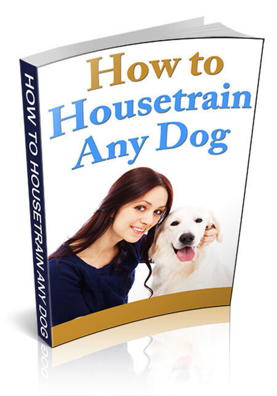 How to House Train Any Dog is Your Puppy or Dog House Broken Learn the
