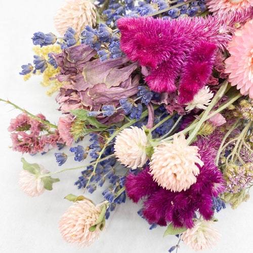 Dried Colorado Wildflower Bundle // Preserved Flowers // Dried Etsy